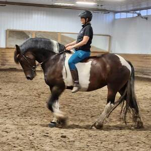 Fundraising Page: Carey Matthiessen